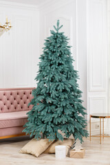 Christmas tree close-up without toys with gifts. Good New Year spirit. Green Christmas tree in home interior