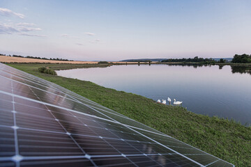 Large solar panel near the lake with birds, renewable energy eco