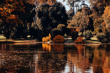 colori d autunno