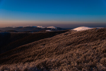 Winter mountain forest, Bieszczady Mountains, Poland