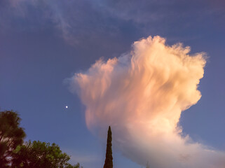 Fuzzi cloud at the dusk