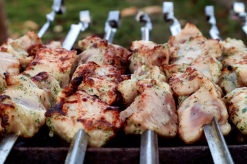 The concept of cooking a barbecue on your own in nature. Pieces of marinated pork , strung on a skewer, close-up