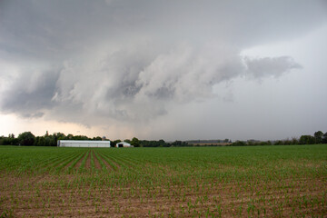 Ontario Storms and Landscapes