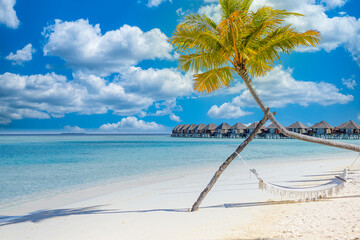 Luxury tropical island scenic, white romantic hammock under palm tree, white sand, seaside view, shore horizon idyllic blue sky, relax leisure lifestyle. Inspirational beach resort hotel, water villas