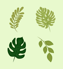 tropical nature leaves