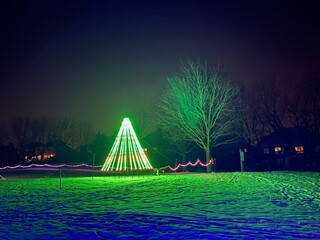 christmas tree © Samantha