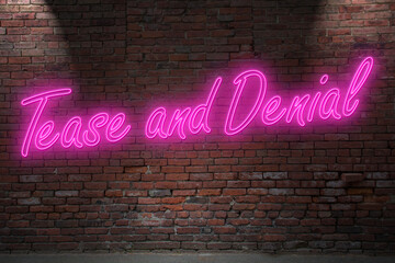 Neon Tease and Denial lettering on Brick Wall at night
