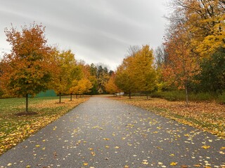 autumn in the park