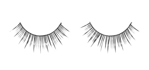 Black false eyelashes isolated on white background, clipping path