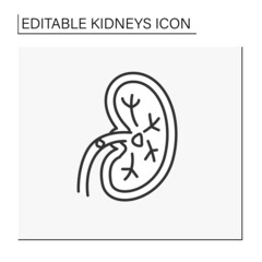 Kidney line icon. Unhealthy internal organ.Kidney stones. Renal calculi, nephrolithiasis or urolithiasis. Healthcare concept.Isolated vector illustration.Editable stroke