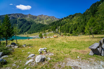 Hiking around the Neves Reservoir in  South Tyrol.