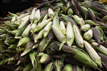 mexican corn in a market