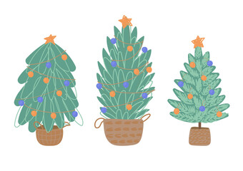 Set of Christmas fir trees in trendy wicker baskets. Vector illustration in flat style on a white background