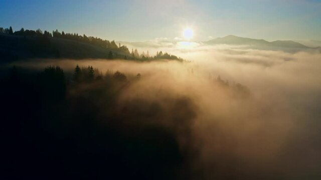 Fog sun forest mountains magic beautiful morning nature travel