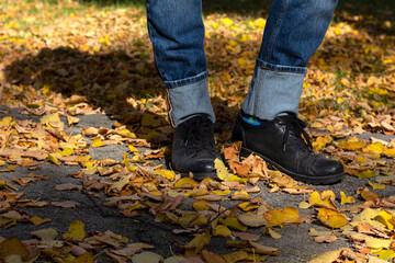 Men's legs in black boots and jeans against the background of autumn foliage. Walk in the park