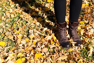 Women's legs in black leggings and brown boots. Walk in the autumn park.