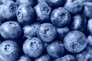 Blueberry fresh close up background