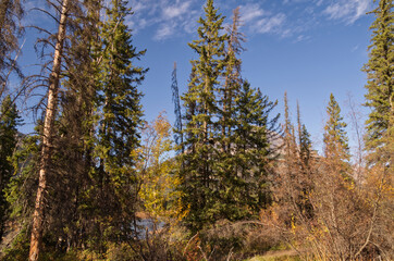 Autumn Scenery from the Cave and Basin