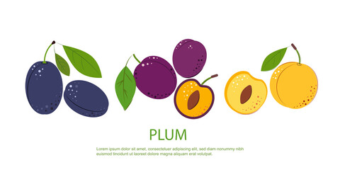 Composition of Plum Berry Whole and Cut One. Ripe juicy Berries with Green Leaves. Plum for jam and dessert. Flat style. Vector Illustration.
