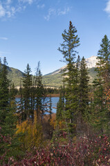 Autumn in the Mountains