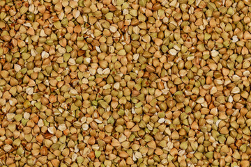 Natural Green Raw Buckwheat Groats. Raw not steamed buckwheat grains. Organic buckwheat grains ready for cooking porridge. Ecologically clean healthy food. Gluten Free. GMO Free. Top view. Close-up
