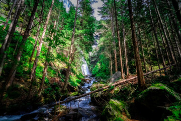 Fototapeta na wymiar Pojer Waterfall in Valle Aurina in South Tyrol