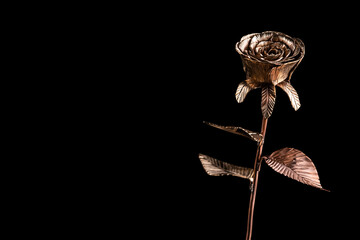 A shiny rose made out of copper on a black background