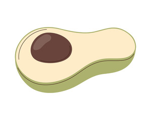 fresh avocado vegetable