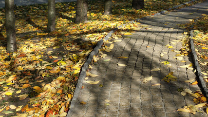 Cobblestone path in the park