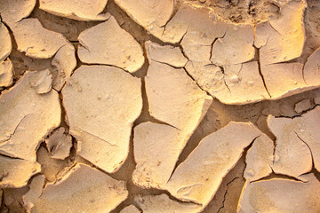 Texture of cracked soil due to drought