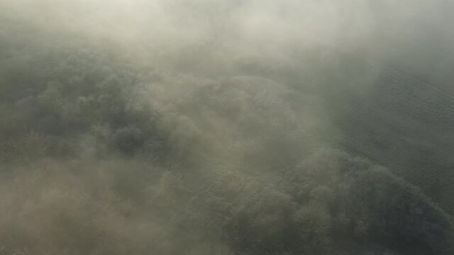 Les arbres gel&eacute;s cach&eacute;s par le brouillard au dessus des champs en Europe, en France, en r&eacute;gion Centre, dans le Loiret, vers Orl&eacute;ans, en Hiver, lors d'une journ&eacute;e ensoleill&eacute;e.