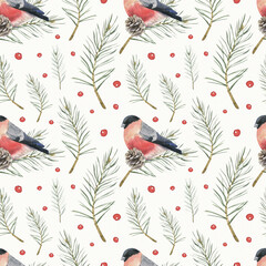 Watercolor Seamless Pattern with Bullfinch and Pine Branches on White Background.