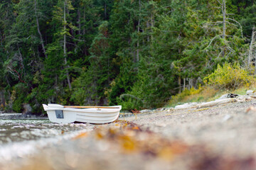 Small white boat on beach near ocean and forest