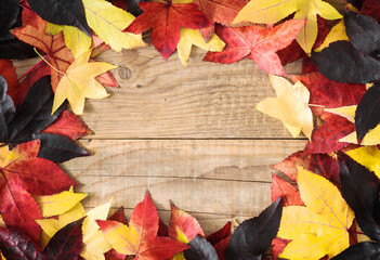 Naklejka na ściany i meble Autumn background with colorful leaves on the rustic wooden top with copy-space