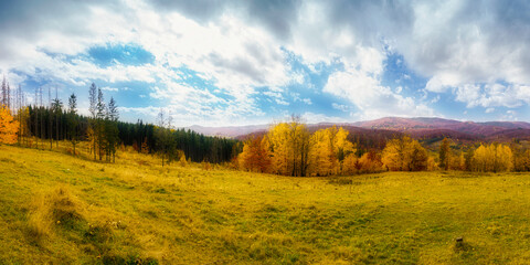 Fototapeta na wymiar autumn in the mountains with extra large landscape with trees and cloudy sky