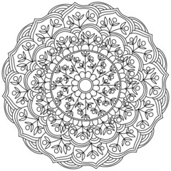 Contour mandala with bunches of berries and leaves and flowing curls, coloring page in the form of a circle with plant motifs