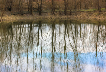 Unusual surrealistic landscape with bare branched trees and blue sky reflecting on a surface of the lake or pond water. Nature in autumn, fall season. Bare Earth. EarthDay, environment, ecology issue.