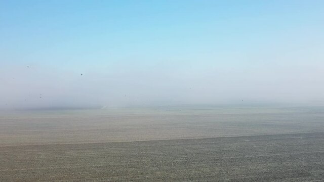 Les oiseaux au dessus d'un champ en Europe, en France, en r&eacute;gion Centre, dans le Loiret, vers Orl&eacute;ans, en Hiver, lors d'une journ&eacute;e ensoleill&eacute;e.