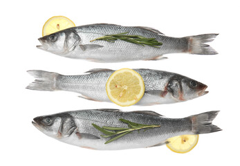 Fresh uncooked sea bass fish with lemon on white background