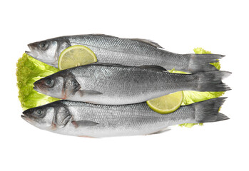 Fresh uncooked sea bass fish with lemon on white background
