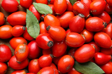 Fresh rose hip berries as background, closeup