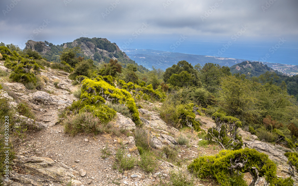 Poster Mountain area Corsica