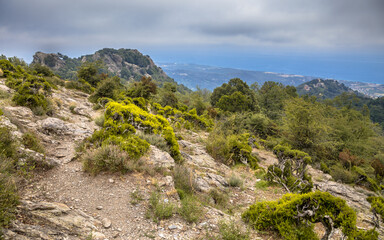 Fototapeta na wymiar Mountain area Corsica