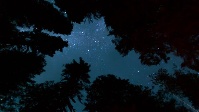 Shooting star in the night sky