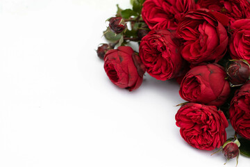 Red roses bouquet isolated on white background.