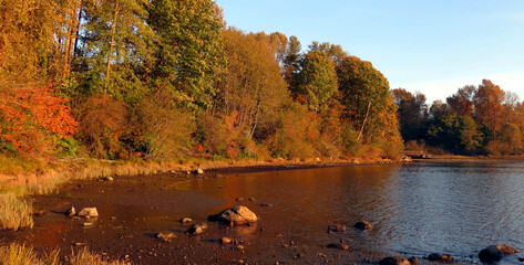 Autumn sunset colors of Port Moody