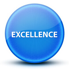 Excellence eyeball glossy elegant blue round button abstract