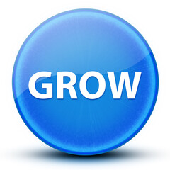 Grow eyeball glossy elegant blue round button abstract