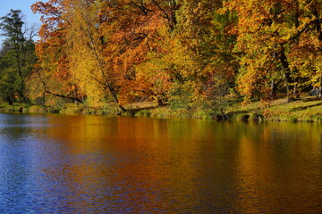 Amazing  autumn landscape - small pond in the autumn park - A beautiful autumn day - colorful  autumn