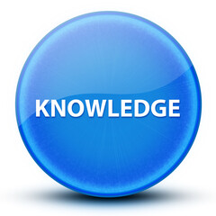 Knowledge eyeball glossy elegant blue round button abstract